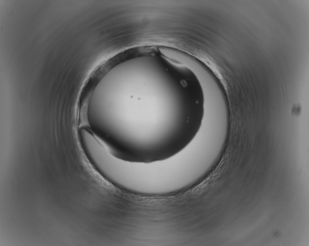 X0000095131080200712301819