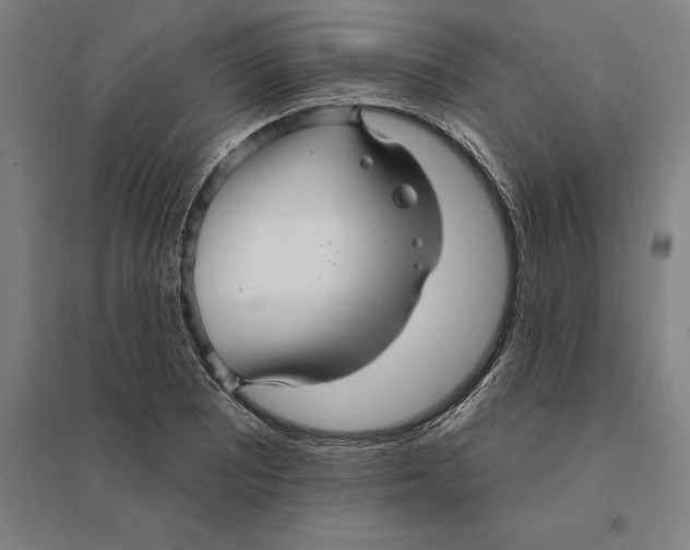 X0000095131081200712301819