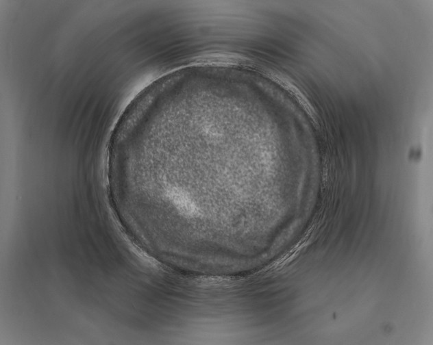 X0000095131083200712301819