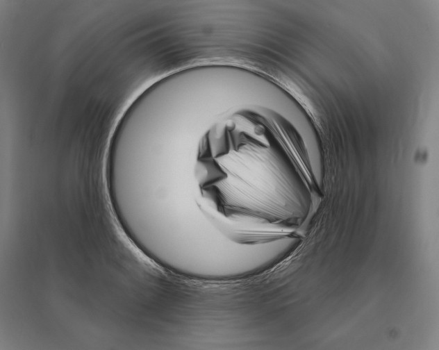 X0000095131084200712301819