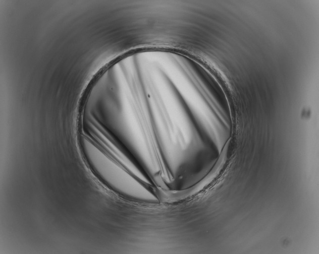 X0000095131085200712301819