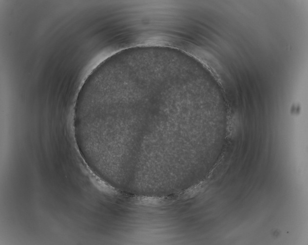 X0000095131086200712301819