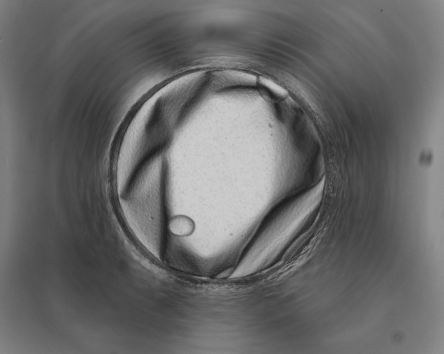 X0000095131087200712301819