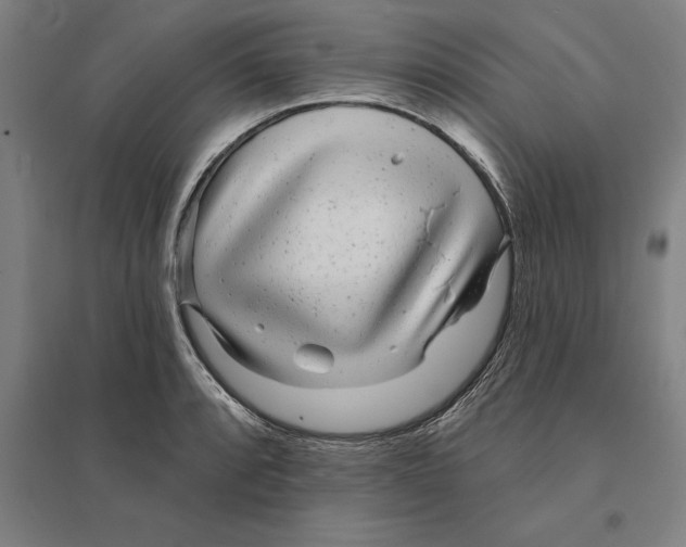 X0000095131088200712301819