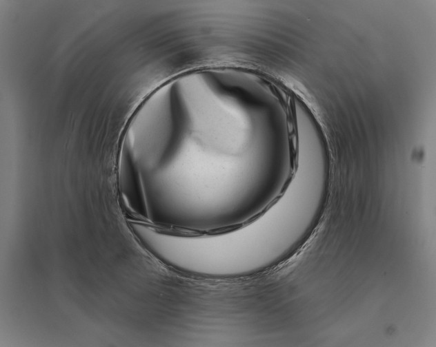 X0000095131089200712301819