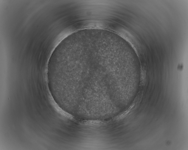 X0000095131090200712301819