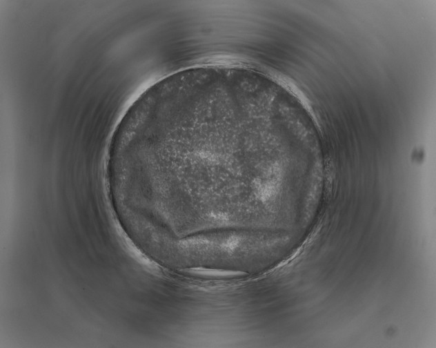 X0000095131091200712301819