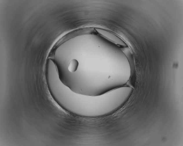 X0000095131092200712301819