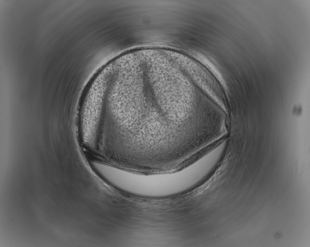 X0000095131093200712301819