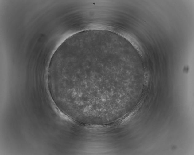 X0000095131094200712301819