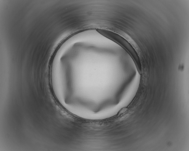 X0000095131096200712301819