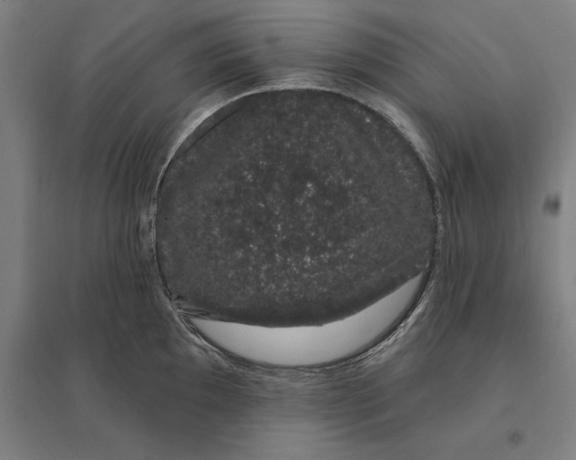 X0000095131097200712301819