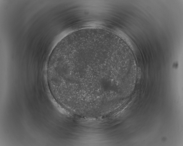 X0000095131098200712301819