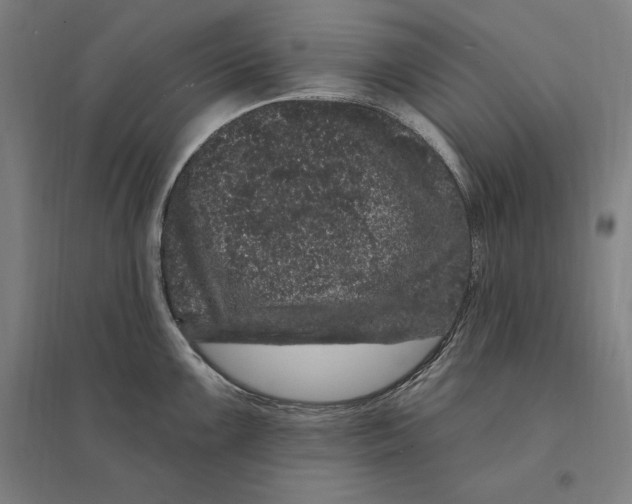 X0000095131099200712301819