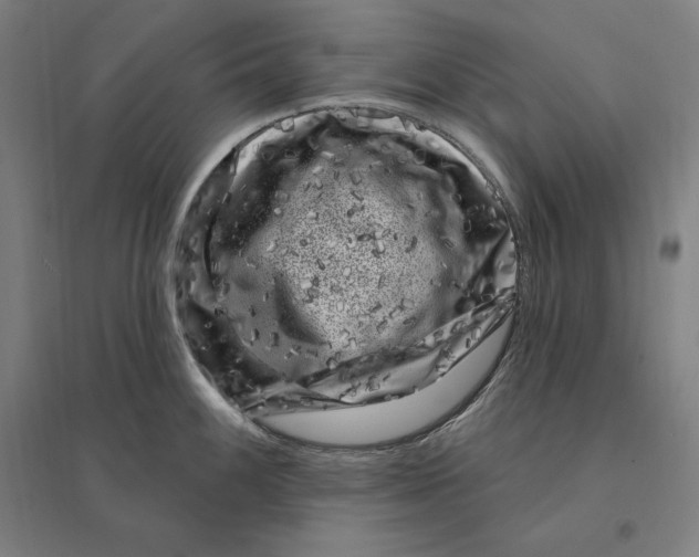 X0000095131100200712301819