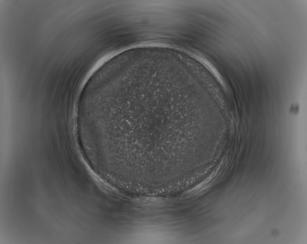 X0000095131101200712301819