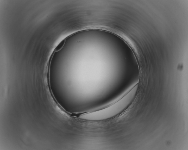 X0000095131102200712301819