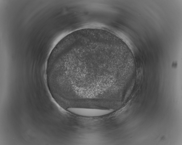 X0000095131103200712301819