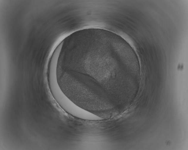 X0000095131104200712301819