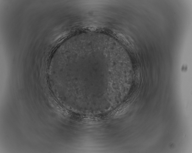 X0000095131105200712301818