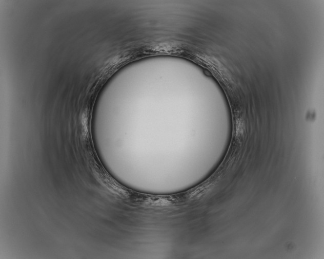 X0000095131106200712301818