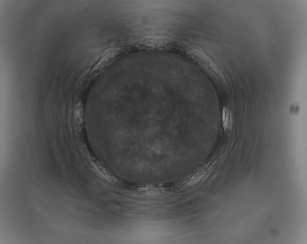 X0000095131107200712301818