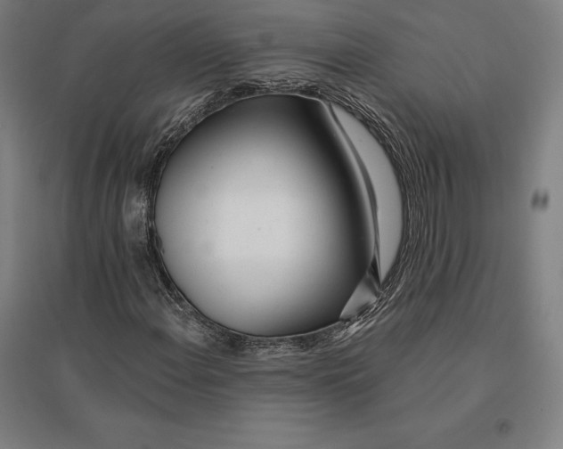 X0000095131108200712301818