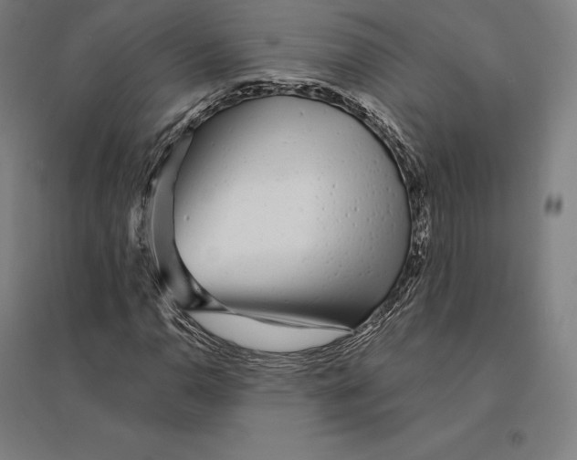 X0000095131110200712301818