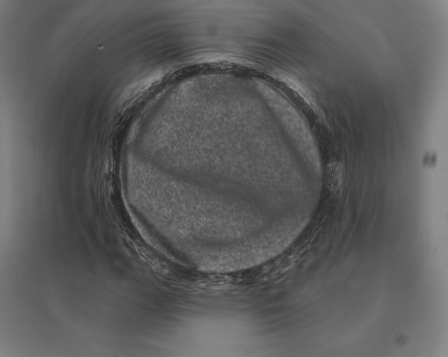 X0000095131111200712301818