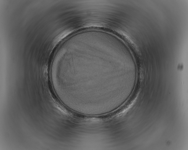 X0000095131113200712301818