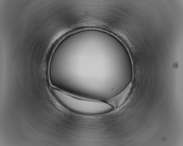 X0000095131114200712301818