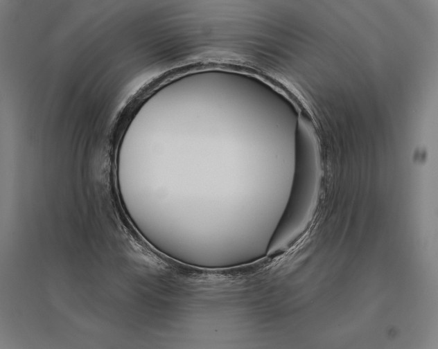 X0000095131115200712301818