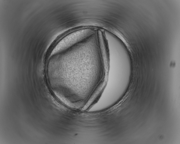 X0000095131116200712301818