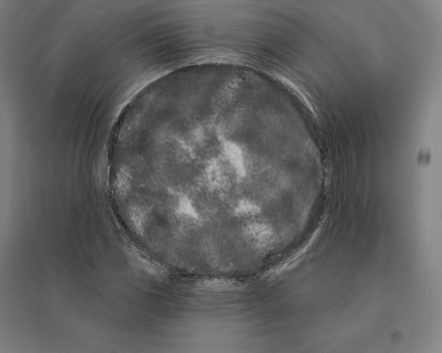 X0000095131117200712301818