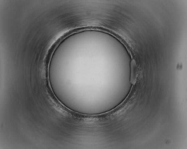 X0000095131118200712301818