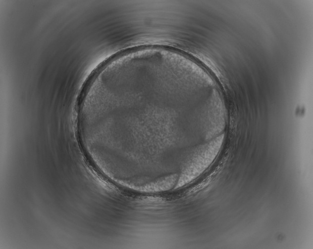 X0000095131119200712301818