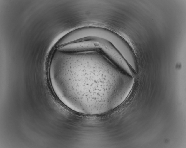 X0000095131120200712301818