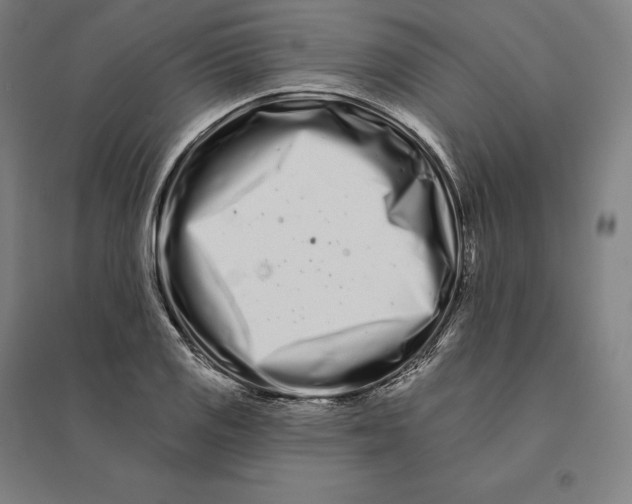 X0000095131125200712301818