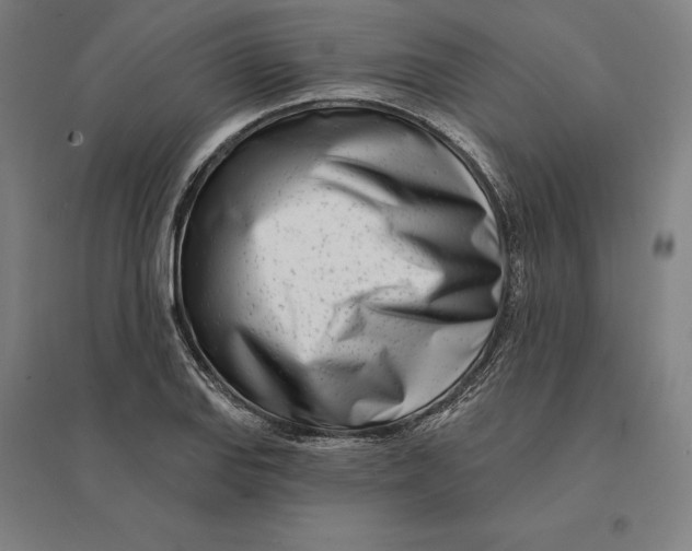 X0000095131127200712301818