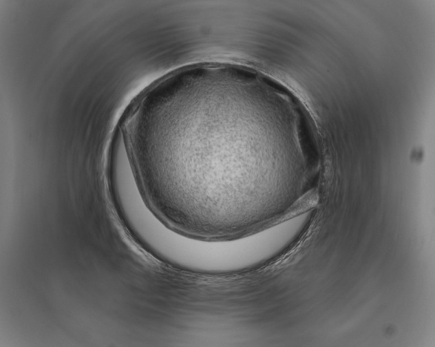 X0000095131128200712301818