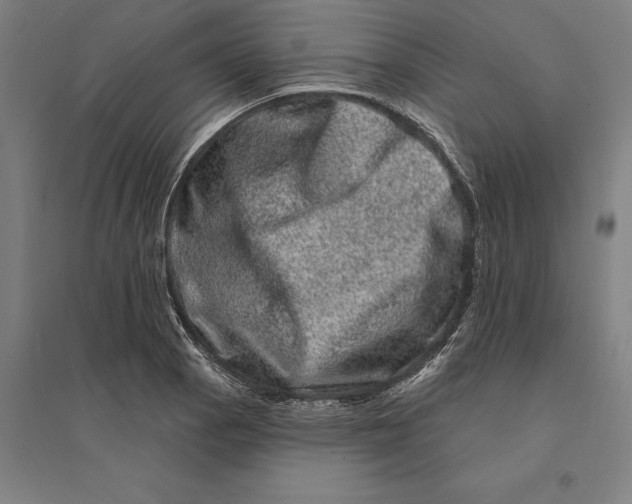 X0000095131129200712301818