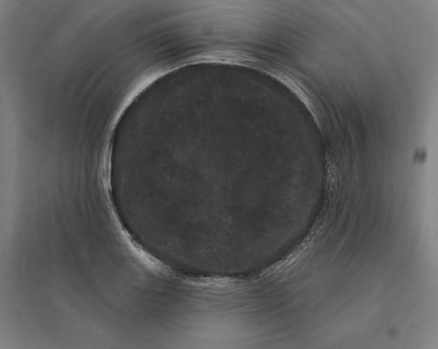 X0000095131131200712301818