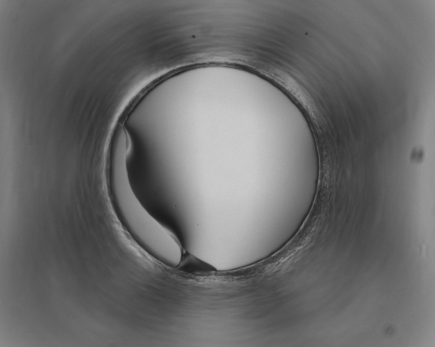 X0000095131132200712301818