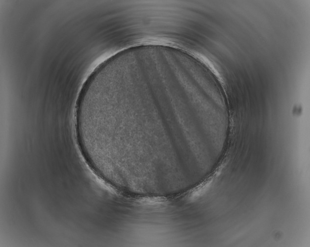 X0000095131133200712301818