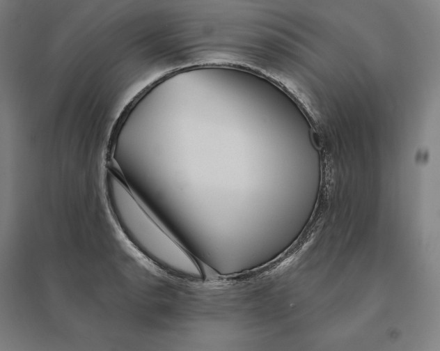 X0000095131134200712301818