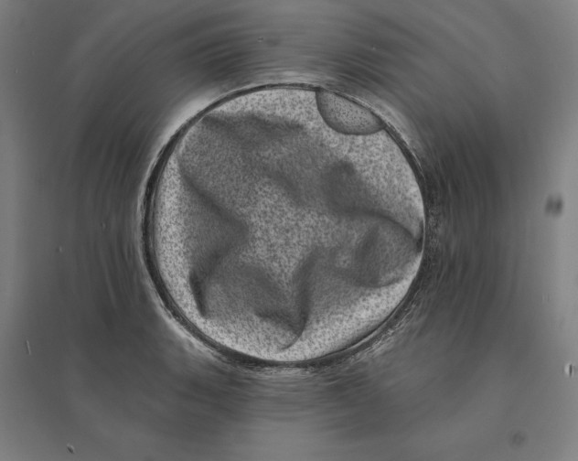 X0000095131135200712301818