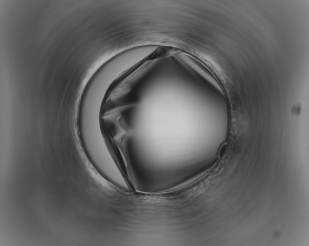 X0000095131136200712301818