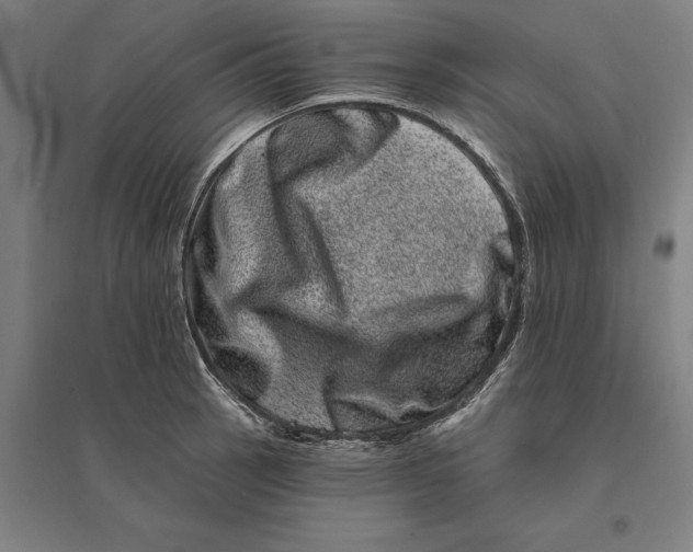 X0000095131137200712301818