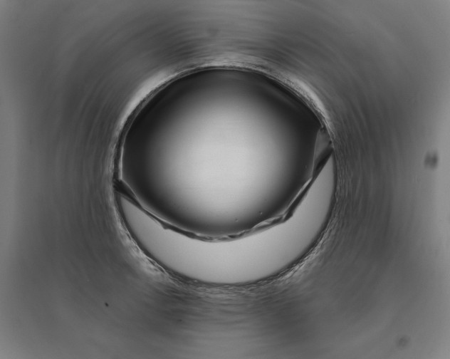 X0000095131138200712301818