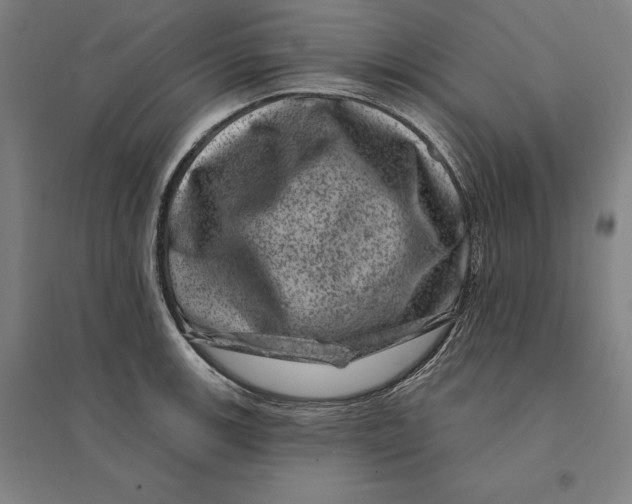 X0000095131139200712301818